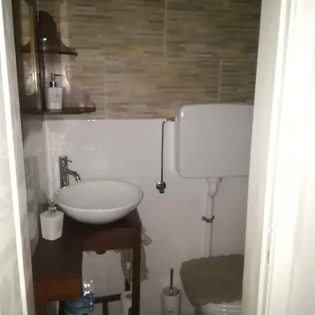 Il Bassotto *