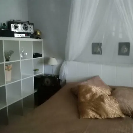 Il Bassotto