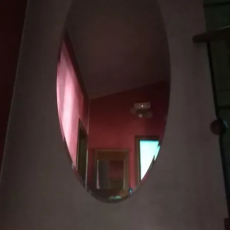 Il Bassotto *