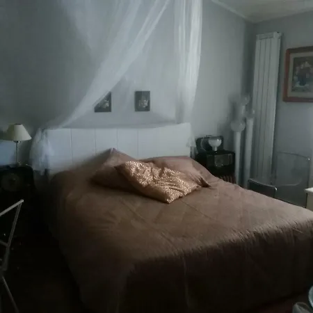 Il Bassotto
