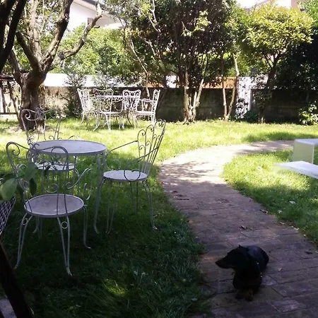 Il Bassotto